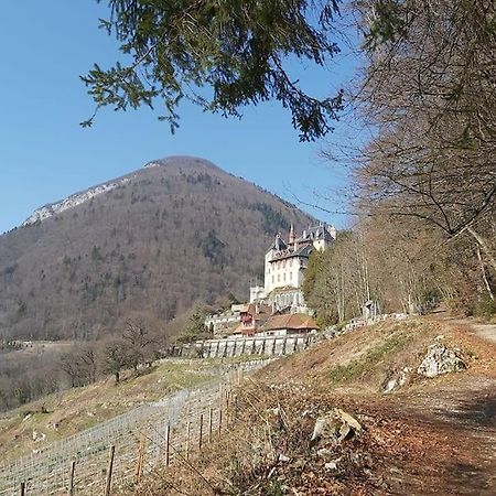 Charmant Appartement Lac D'Annecy / Ski - 6 Pers マントン・サン・ベルナール エクステリア 写真