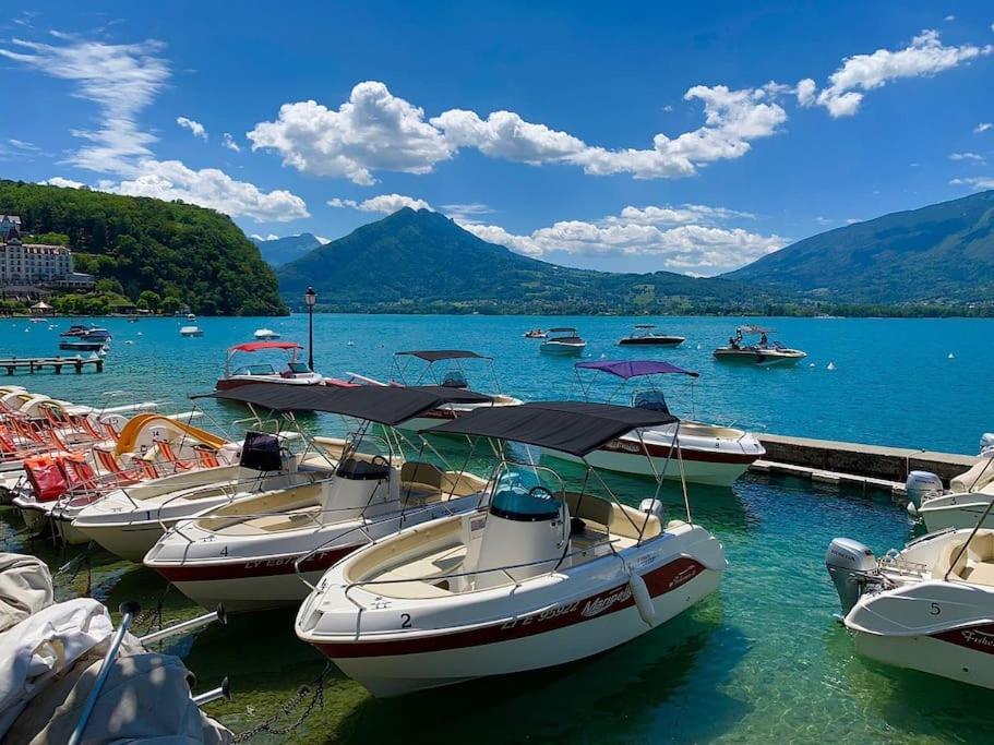 Charmant Appartement Lac D'Annecy / Ski - 6 Pers マントン・サン・ベルナール エクステリア 写真