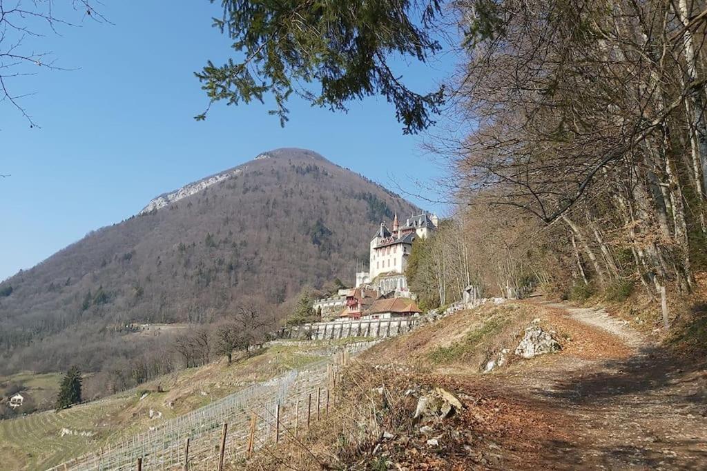 Charmant Appartement Lac D'Annecy / Ski - 6 Pers マントン・サン・ベルナール エクステリア 写真